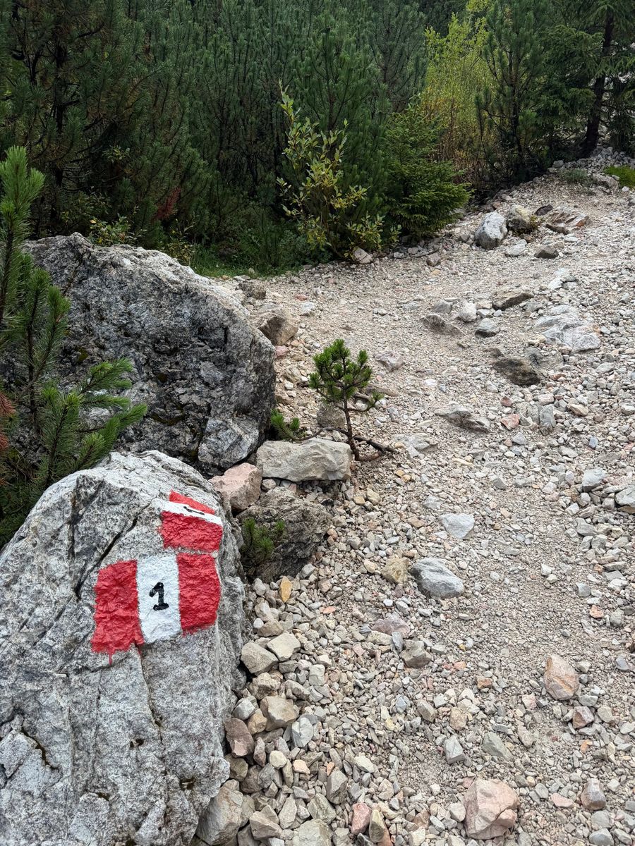 Segnavia bianco e rosso con il numero 1 dipinto su una roccia
